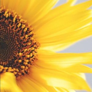 Meet your Posher, Cassie